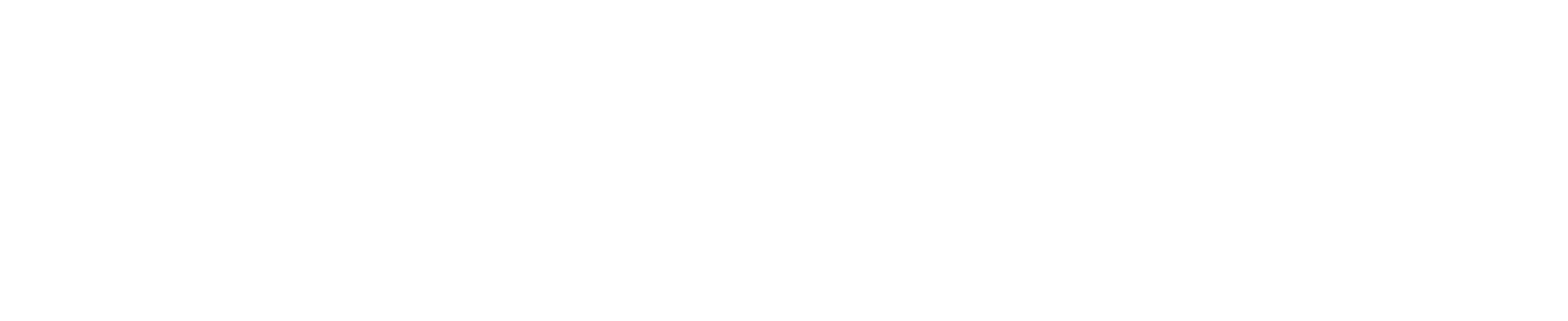 Velzia